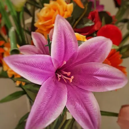 A Un Passo Dal Centro Casa de hóspedes 4*